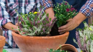 2025 09 Miniatures youtube compo automne 2025 09 Miniatures youtube compo automne